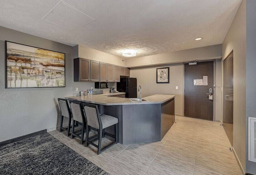 プレジデントスイートルーム, Doubletree By Hilton Hotel Bloomington