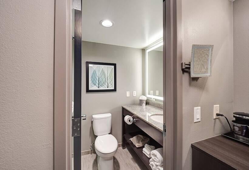 ２ダブルベッドのスタンダードルーム, Doubletree By Hilton Hotel Bloomington