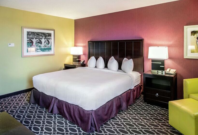 스탠다드 룸 더블 침대 2개, Doubletree By Hilton Richmond Midlothian
