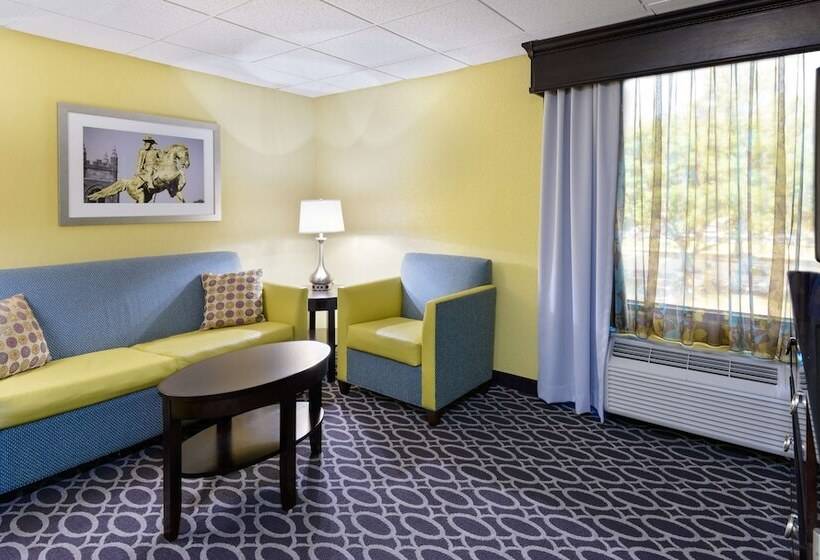 스위트, Doubletree By Hilton Richmond Midlothian