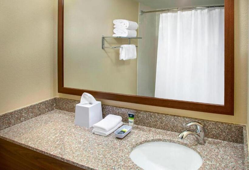 带2个双人床的标准工作室, Four Points By Sheraton Charleston