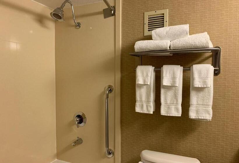 Стандартный Номер Кровать Кинг, Holiday Inn Johnstown Downtown, An Ihg