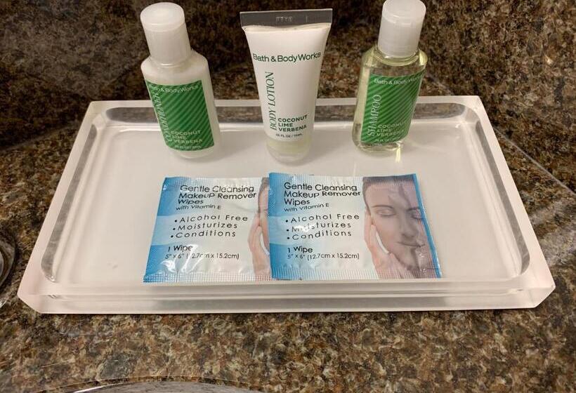 身障者適用キングサイズベッドルーム, Holiday Inn Johnstown Downtown, An Ihg