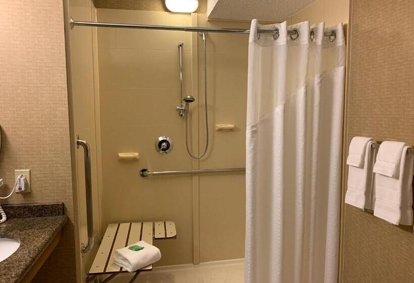 Номер Стандарт Кровать Кинг Адаптированный для Инвалидов, Holiday Inn Johnstown Downtown, An Ihg
