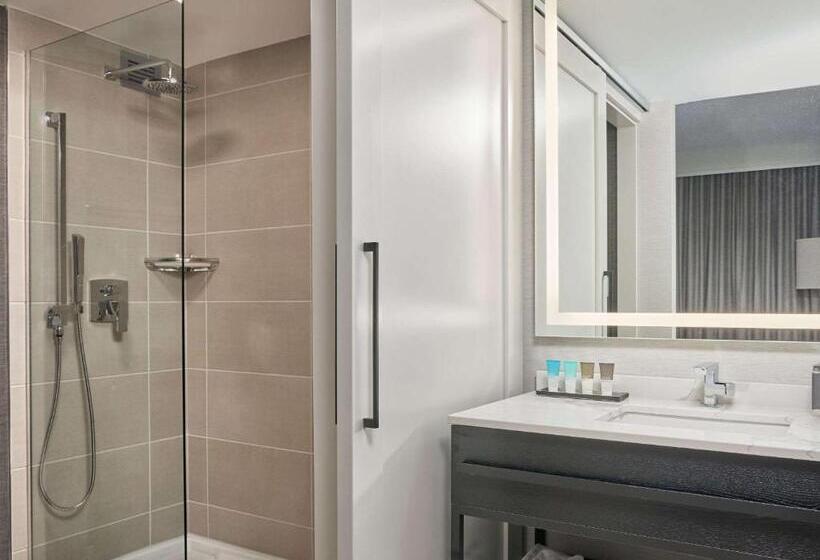 스탠다드 룸 킹사이즈 침대, Hyatt Regency Deerfield