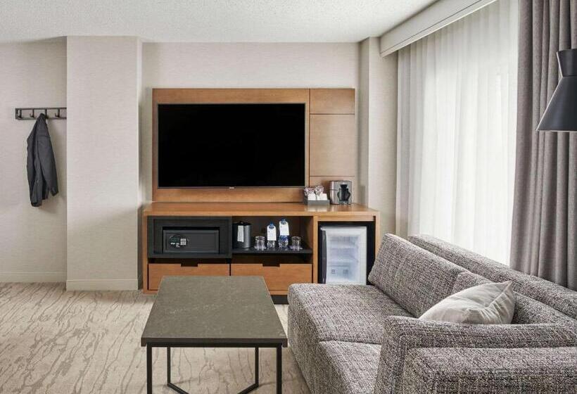 장애인을 위한 스탠다드 룸, Hyatt Regency Deerfield