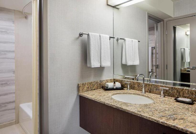 스탠다드 룸 퀸사이즈 침대, Hyatt Regency Dfw International Airport