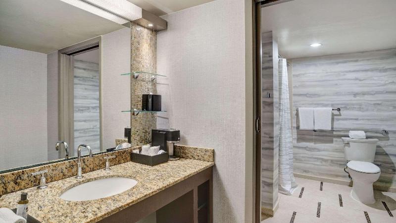 스탠다드 룸 퀸사이즈 침대, Hyatt Regency Dfw International Airport