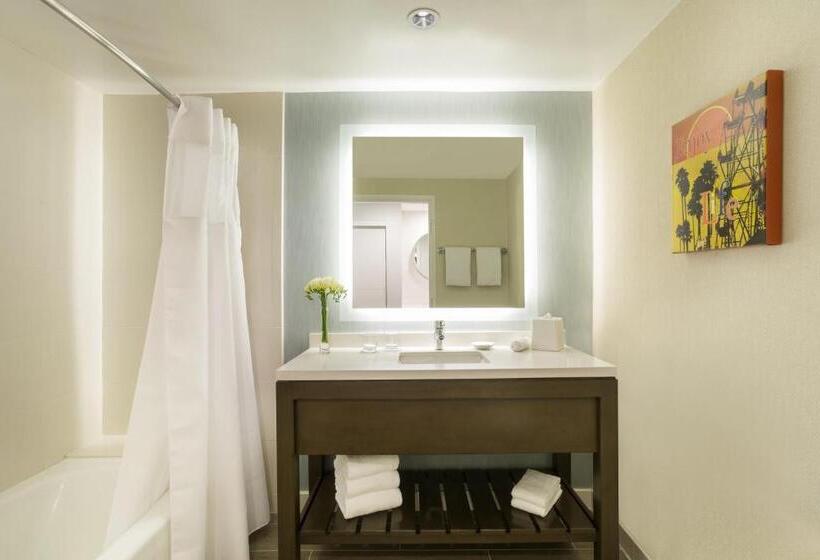 장애인을 위한 킹사이즈 침대 스탠다드 룸, Hyatt Regency Newport Beach