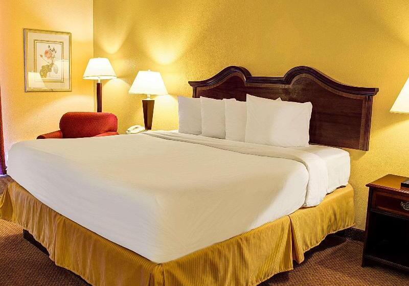 스탠다드 룸 킹사이즈 침대, Quality Inn North