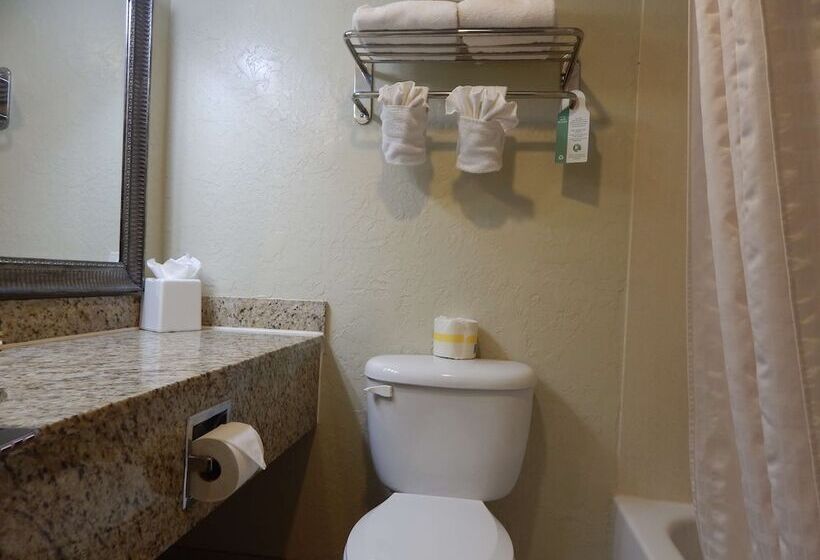Люкс, Surestay Plus Hotel By Best Western Lawton