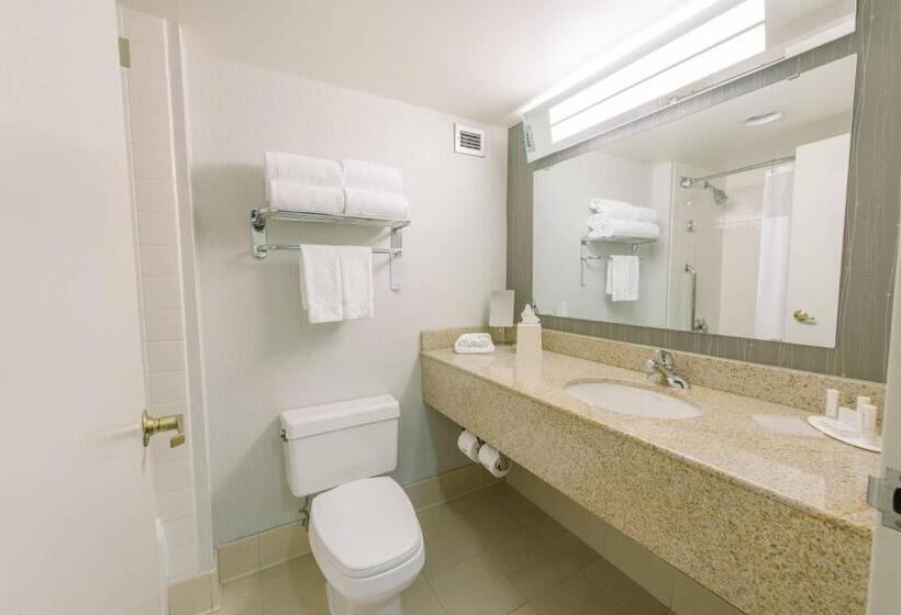 Номер Стандарт 2 Двуспальные Кровати, Courtyard By Marriott Nashua