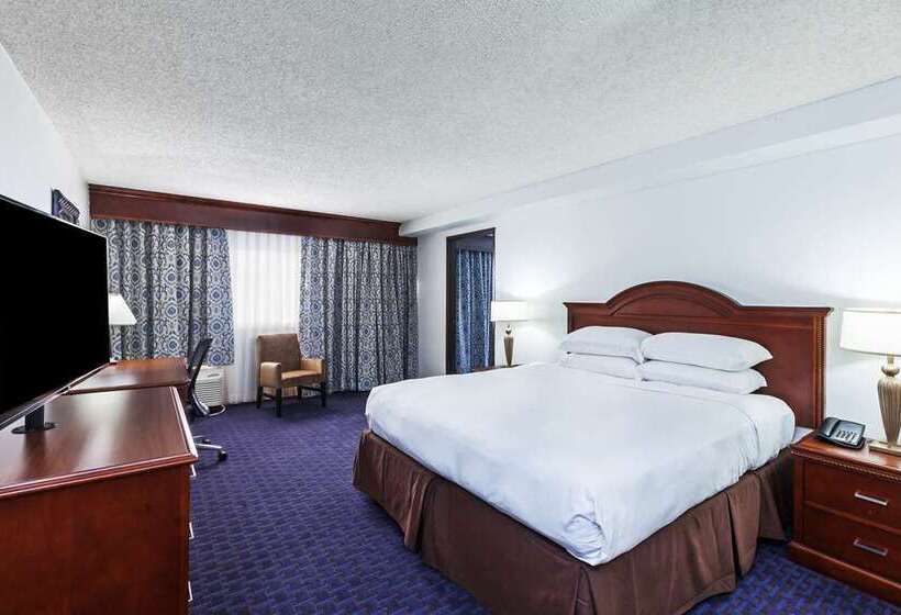 キングサイズベッドのスイートルーム, Hilton Fort Lauderdale Marina