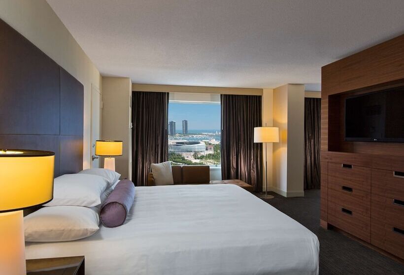 Suíte Executivo, Hyatt Regency Mccormick Place Chicago