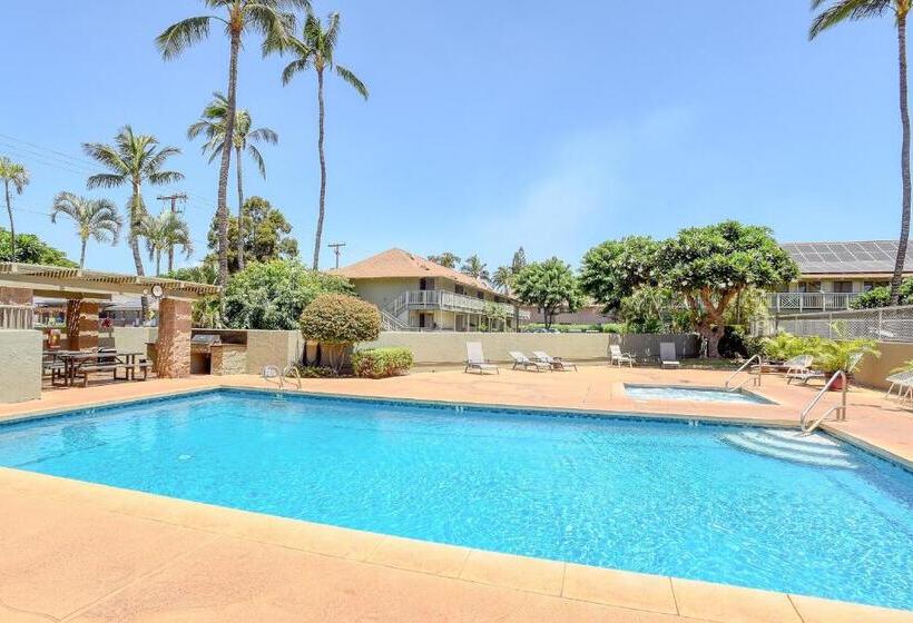 استودیوی استاندارد, Kihei Bay Surf 236