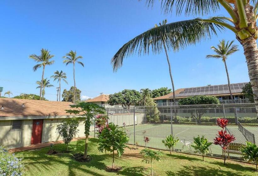 استودیوی استاندارد, Kihei Bay Surf 236