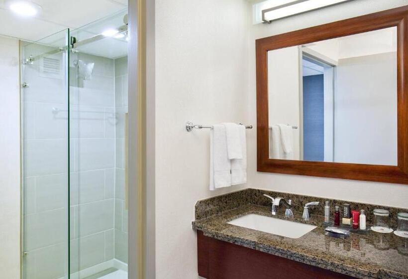스탠다드 룸 킹사이즈 침대, Marriott Park Ridge