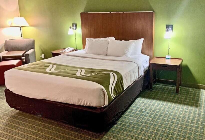 Стандартный Номер Кровать Кинг, Quality Inn Lexington Horse Park