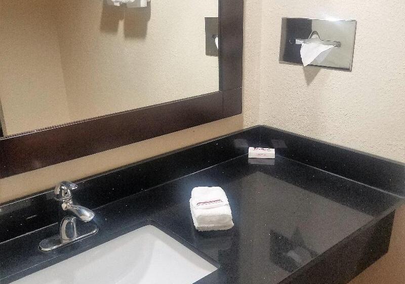 מיטת קינג בסוויטה, Red Roof Inn & Suites Houston  Hobby Airport