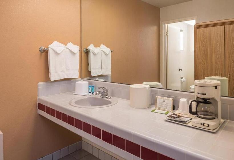 스탠다드 룸 킹사이즈 침대, Laurel Inn & Conference Center