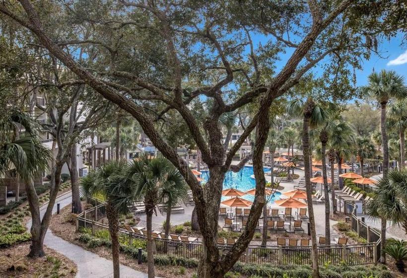 Lakosztály, Sonesta Resort  Hilton Head Island