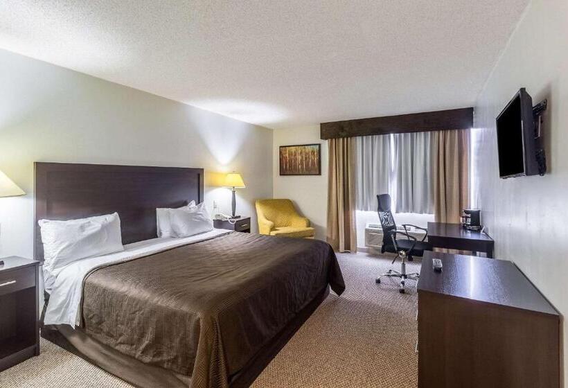 キングサイズベッドのスタンダードルーム, Clarion Inn Near Mcallen Airport