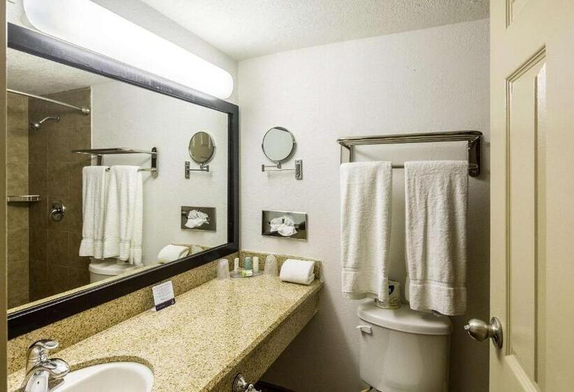 ２ダブルベッドのスタンダードルーム, Clarion Inn Near Mcallen Airport