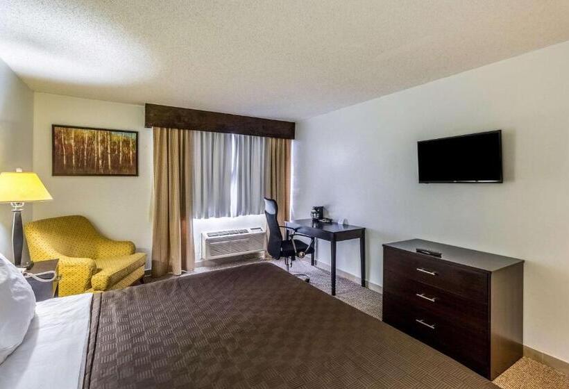 身障者適用キングサイズベッドルーム, Clarion Inn Near Mcallen Airport