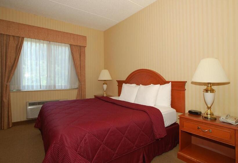 Стандартный Номер Кровать Кинг, Comfort Inn & Suites