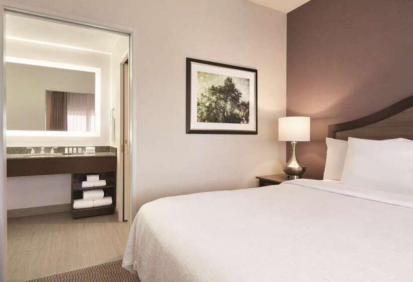 חדר סטנדרט עם מיטת קינג, Embassy Suites Boca Raton