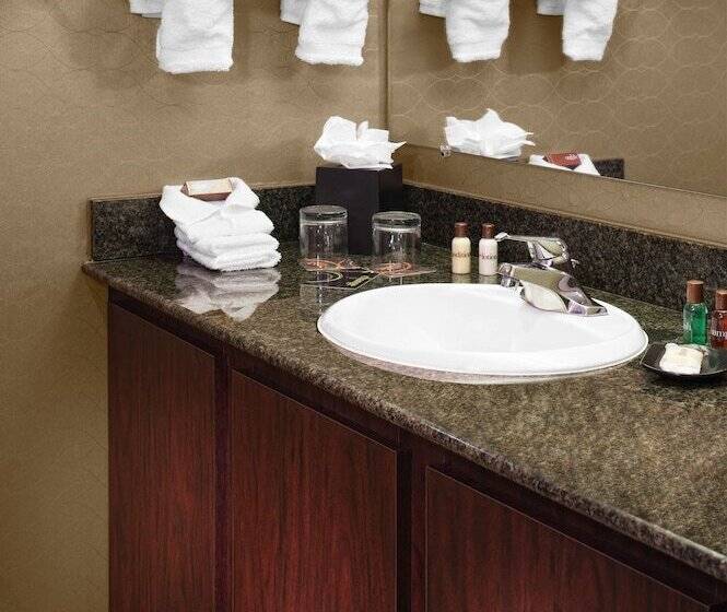 行政套房, Sheraton Detroit Metro Airport
