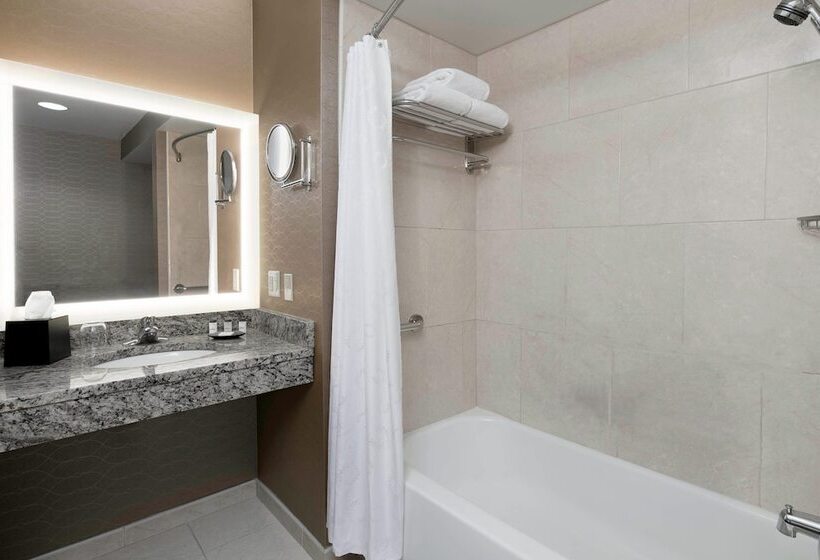 Люкс, Sheraton Pittsburgh Airport