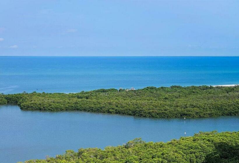 스탠다드 룸 킹사이즈 침대, Naples Grande Beach Resort