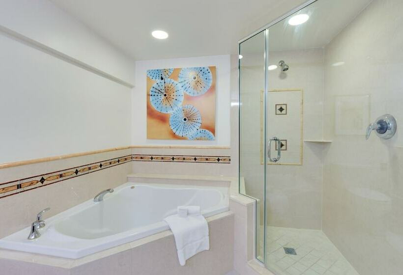 장애인을 위한 더블 침대 스탠다드 룸, Naples Grande Beach Resort