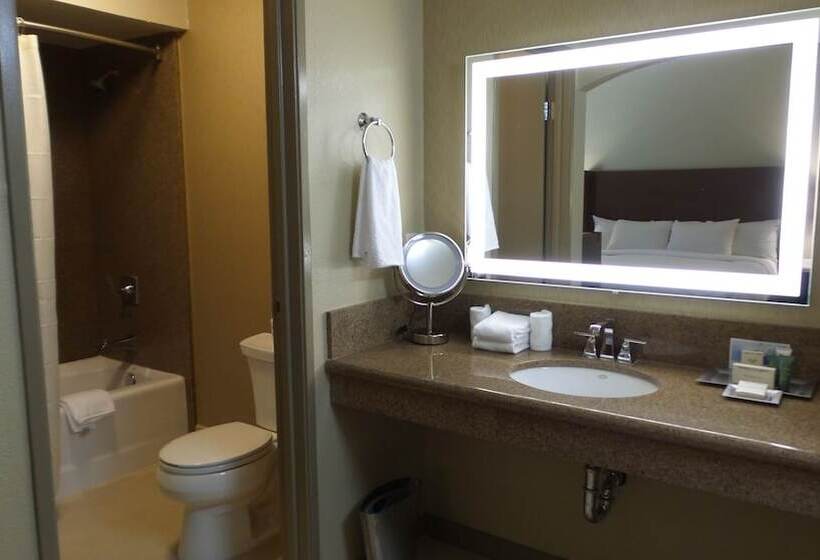 Люкс, El Conquistador Tucson, A Hilton Resort