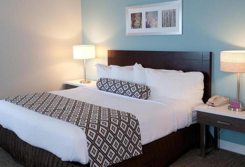 장애인을 위한 킹사이즈 침대 스탠다드 룸, Crowne Plaza Hotel And Suites Pittsburgh South, An Ihg