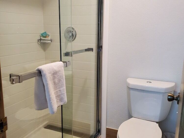 İki Çift Kişilik Yataklı Standart Oda, Thea Tacoma, Ascend Hotel Collection
