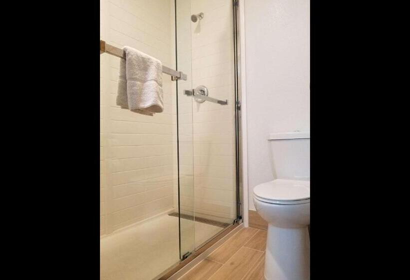 Büyük Çift Kişilik Yataklı Standart Oda, Thea Tacoma, Ascend Hotel Collection