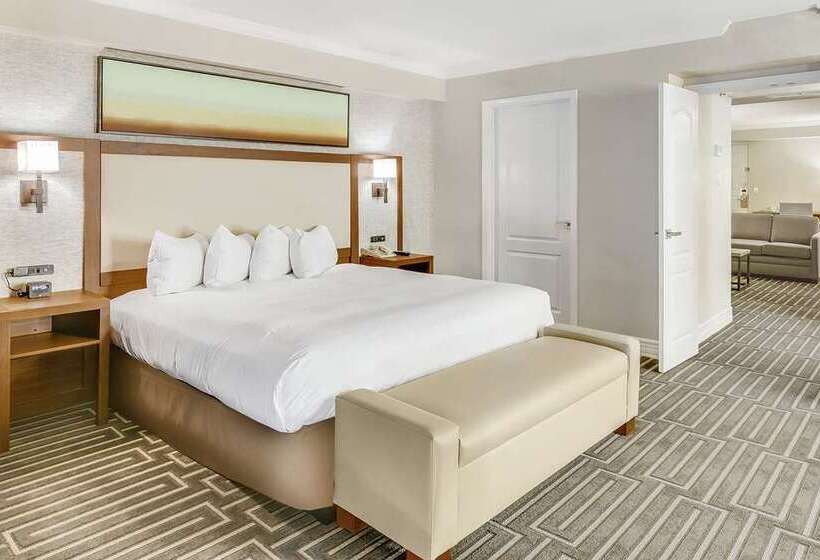 스탠다드 룸, Hilton Phoenix Tapatio Cliffs Resort