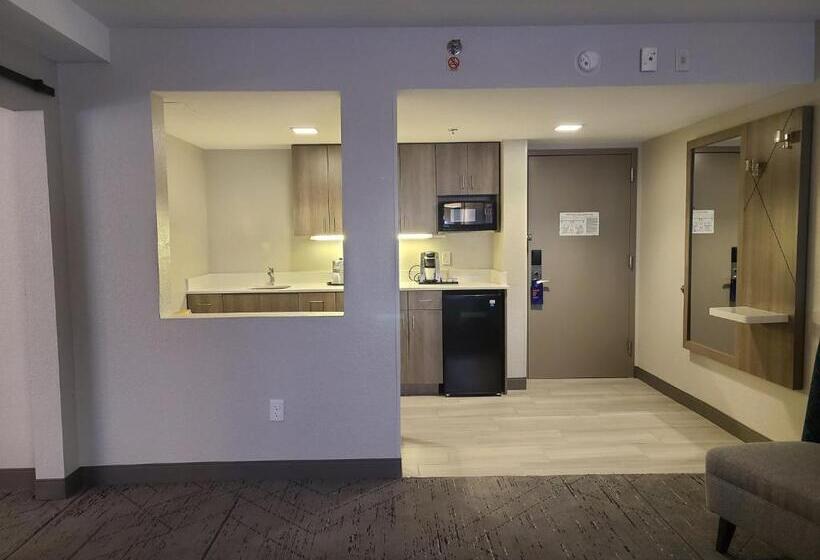 Люкс Кровать Кинг, Holiday Inn Express Fort Lauderdale North   Executive Airport, An Ihg