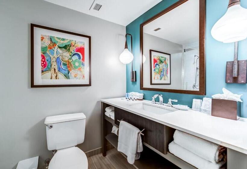 חדר סטנדרט, Indigo Atlanta Vinings, An Ihg