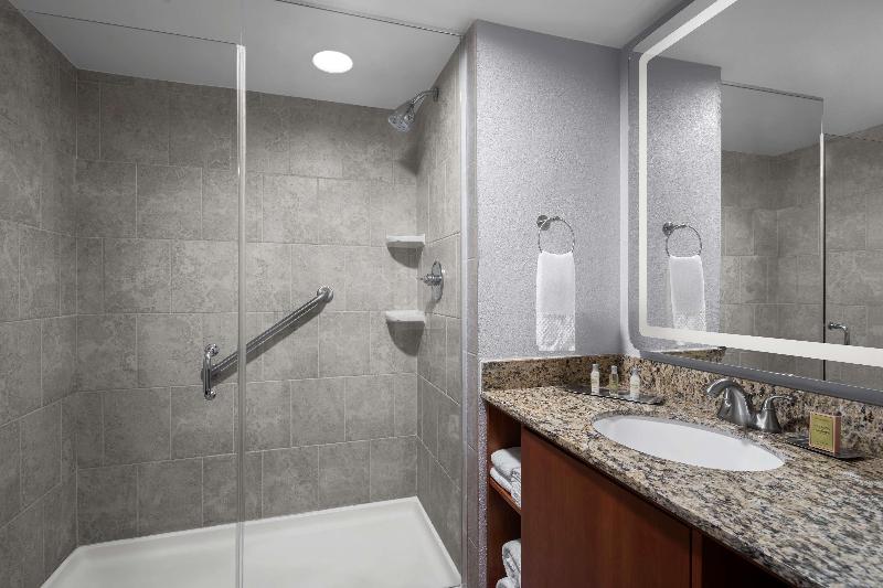 Люкс Кровать Кинг, The Alloy King Of Prussia   A Doubletree By Hilton