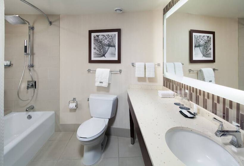 Şehir Manzaralı Delüks Oda, The Westin Seattle
