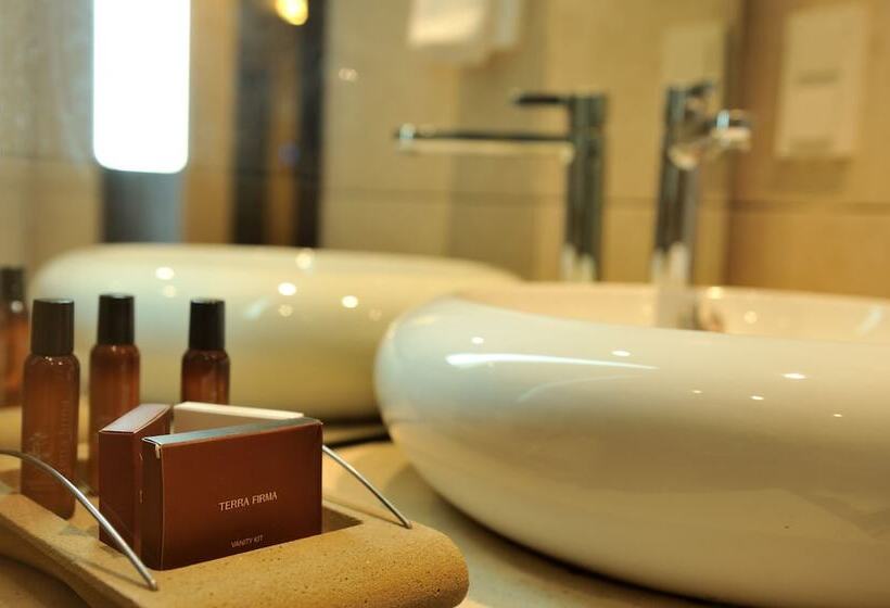 اتاق کلاسیک با تخت دوبل, Pullman Lubumbashi Grand Karavia