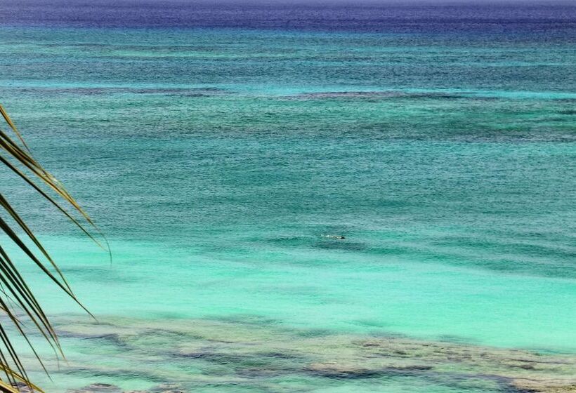 Полулюкс Вид на Море, Grand Cayman Marriott Resort