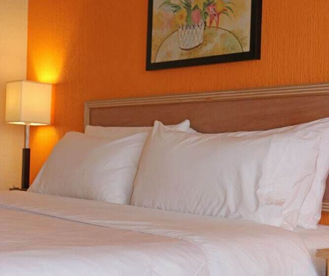 스탠다드 룸, Holiday Inn La Piedad, An Ihg