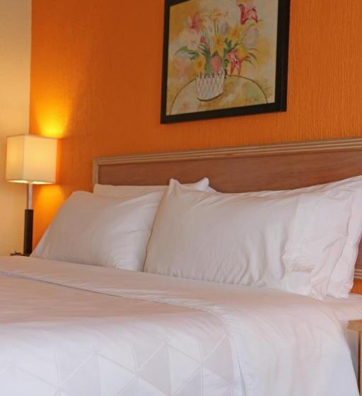 스탠다드 룸 킹사이즈 침대, Holiday Inn La Piedad, An Ihg