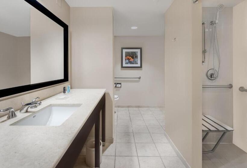 Номер Стандарт Кровать Кинг Адаптированный для Инвалидов, Crowne Plaza Cleveland At Playhouse Square, An Ihg