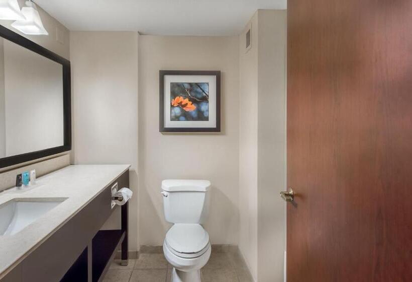 Стандартный Номер Кровать Кинг, Crowne Plaza Cleveland At Playhouse Square, An Ihg