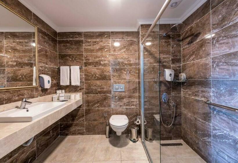 اتاق استاندارد با چشم‌انداز دریا, Asteria Collection Side